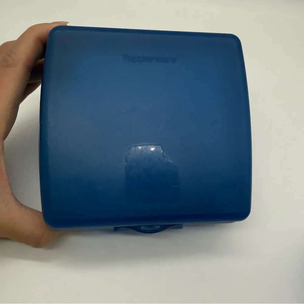 Tupperware Hinged Sandwich Keeper Lunch Containers Blue (set of 2)